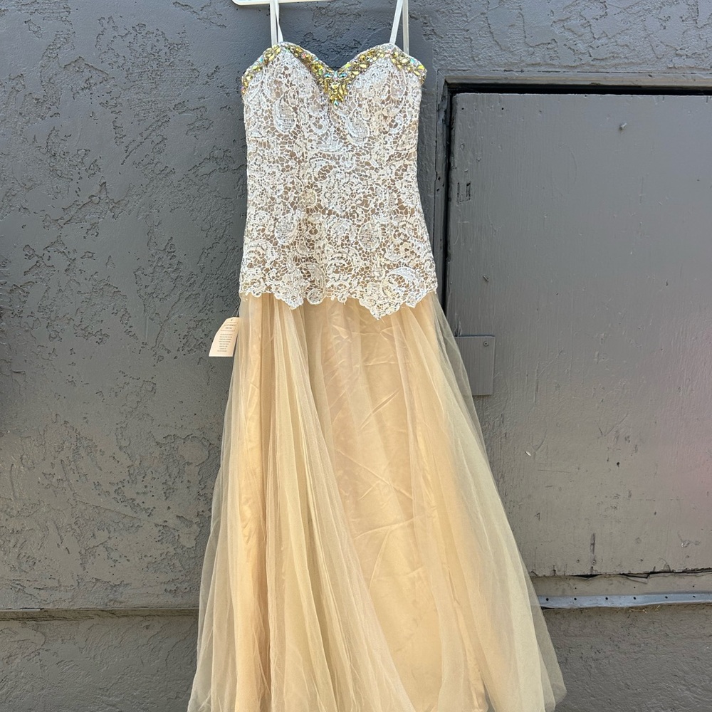 Elegant Lace and Tulle Gown